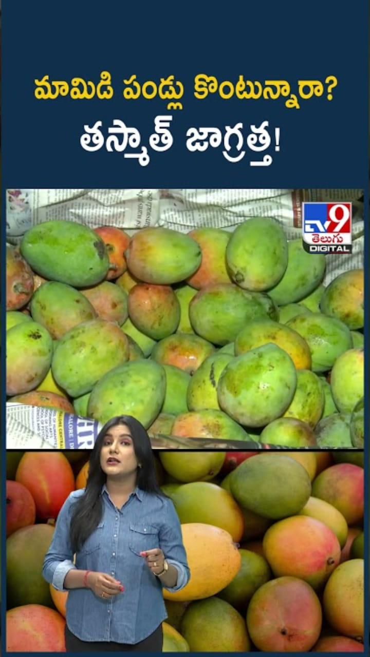 Mango Season: మామిడి పండ్లు కొంటున్నారా? తస్మాత్ జాగ్రత్త!