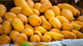 మీ ఇంట్లో ఎలుకల గోల ఎక్కువైందా? ఈ 5 హోమ్ రెమెడీస్‌తో వాటికి శాశ్వతంగా చెక్ పెట్టండి!