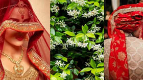 ఇంట్లో పెళ్లి బాజాలు మోగాలంటే.. ఈ మొక్కలు పెంచండి