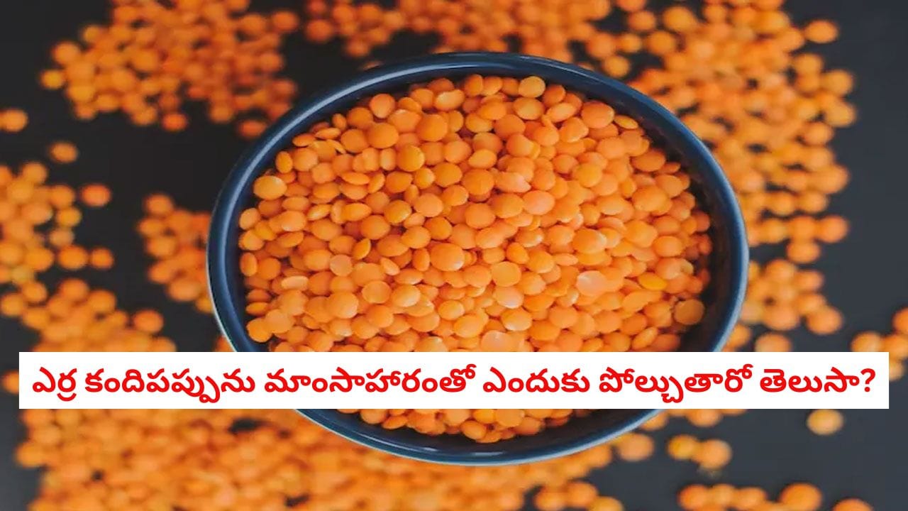 Health Tips: శాకాహారులు ఇష్టపడే ఎర్ర కందిపప్పు.. దీన్ని తీసుకుంటే మాంసాహారం తిన్నట్టే