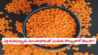 అరే భయ్యా..! మరమరాలు తింటే మస్త్‌ బెనిఫిట్స్‌ తెలుసా? నాజుకు నడుముతో పాటు ఈ 7 ఆరోగ్య ప్రయోజనాలు మీ సొంతం!