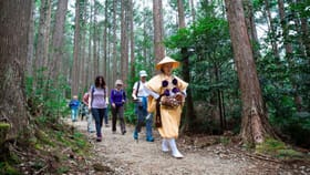 నడకలో ఈ టెక్నిక్‌తో కీళ్ల నొప్పులకు చెక్