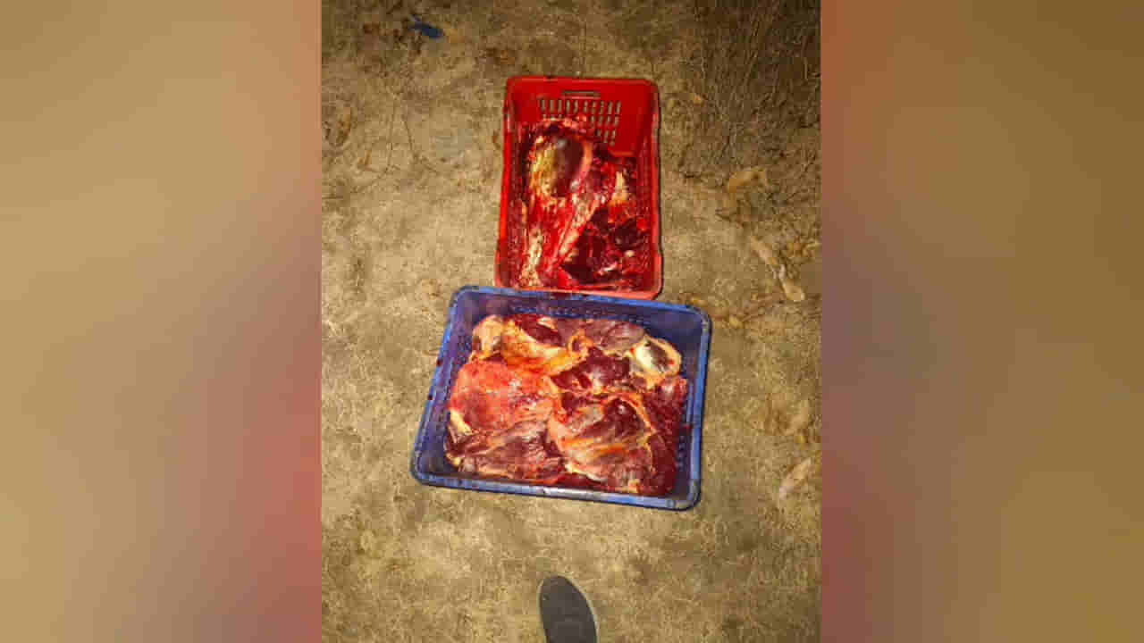 Andhra: గాడిద మాంసం పేరుతో ఏం అమ్ముతున్నారో తెలిస్తే అవాక్కవ్వాల్సిందే..