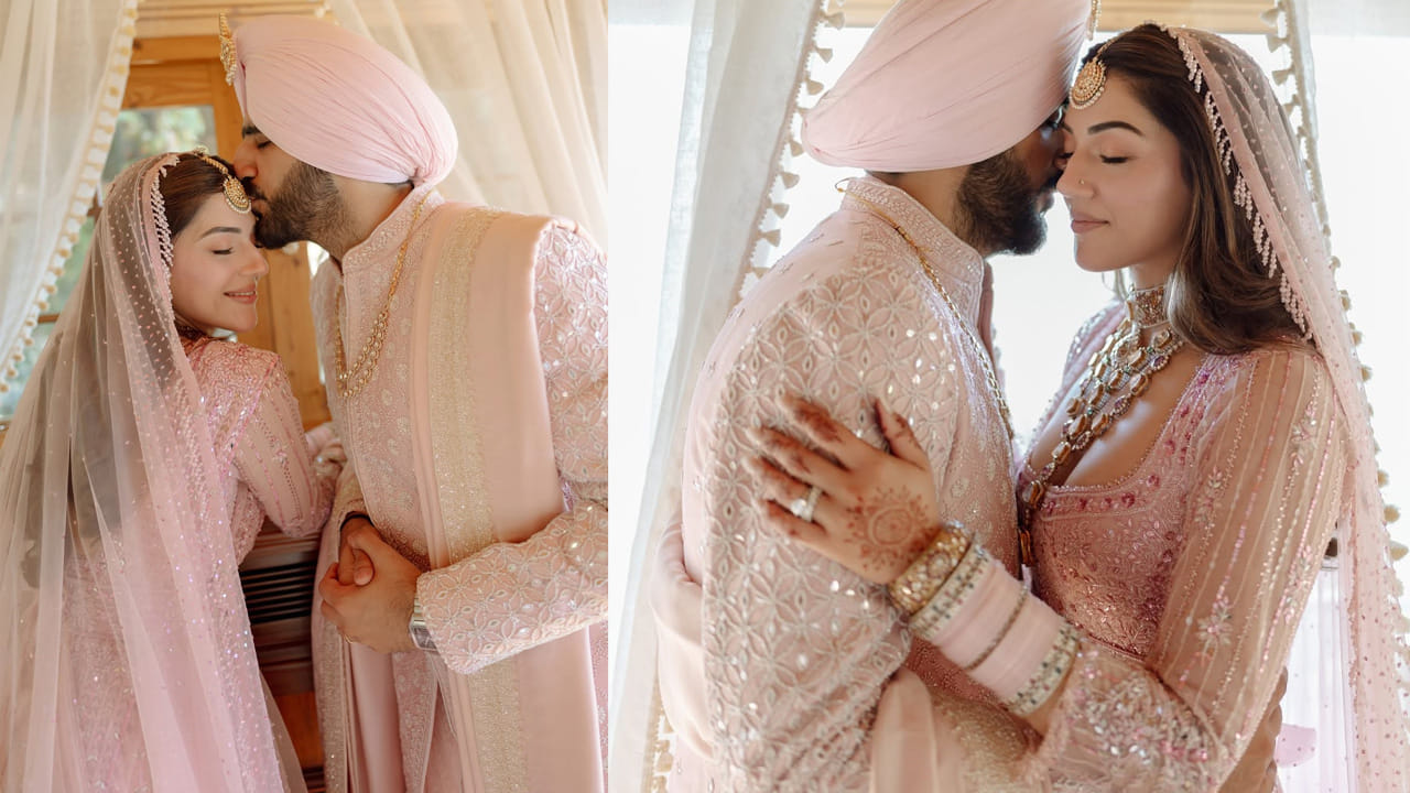 తెలుగుతో పాటు తమిళం, హిందీ, పంజాబీ భాషల్లో కూడా పలు చిత్రాల్లో నటించారు. ప్రస్తుతం ఆమె చేతిలో కొత్త సినిమాలేవీ లేకపోవడంతో, మెహ్రీన్ ఇక సినిమాలకు స్వస్తి చెప్పి కుటుంబ జీవితానికే పరిమితం కావాలని నిర్ణయించుకున్నట్లు ఇండస్ట్రీలో చర్చ జరుగుతోంది. మెహ్రీన్, అర్ష్ ఔలక్ దంపతులు నిండు నూరేళ్లూ సుఖసంతోషాలతో వర్ధిల్లాలని అభిమానులు కోరుకుంటున్నారు. చివరగా మెహ్రీన్ ఎఫ్ 3లో కనిపించింది. నిశ్చితార్థం తర్వాత సైలెంట్ అయిన ఆమె.. ఇప్పుడు పెళ్లి ఫోటోలతో ఒక్కసారిగా అభిమానులకు షాకిచ్చింది. 