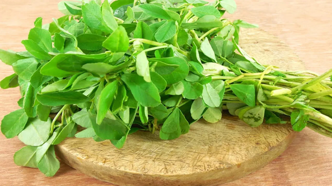 మెంతి కూరలను తాజాగా ఉంచేందుకు రిఫ్రిజిరేటర్‌ బెటర్. ముందుగా  మెంతి ఆకులను తీసుకుని కడగకుండా ఒక క్లాత్ లో కానీ, 
టిష్యూలో కానీ పెట్టి చుట్టాలి. ఆ తర్వాత గాలి చొరబడని పాలిథిన్ బ్యాగ్‌లో నిల్వ చేయాలి. 