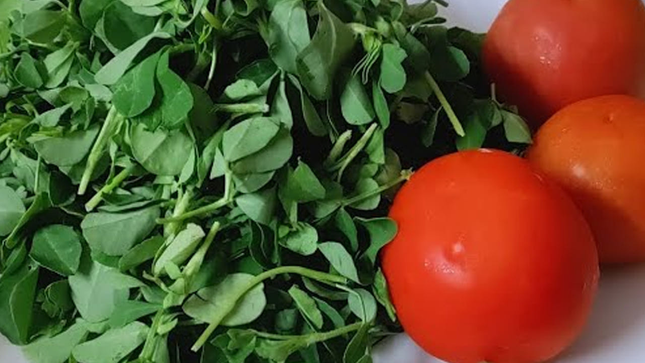 మెంతికూరను ఏడాది పాటు నిల్వ చేయొచ్చు. ఎలా అంటే  దానిని ఎండలో బాగా ఎండబెట్టి నిల్వ చేయవచ్చు. దీని కోసం మెంతి ఆకులను తీసుకుని మంచి నీటితో బాగా కడిగి ఆరబెట్టుకోవాలి. వాటిని ఒక క్లాత్ పై పరిచి ఆకులు ఆరిపోయే వరకు ఉంచాలి. 