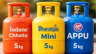 E20 Petrol: పెట్రోల్ బంకుల్లో భారీ మార్పు.. కేంద్రం E20 పెట్రోల్‌నే ఎందుకు తీసుకువచ్చింది? అసలు కారణం ఇదే!