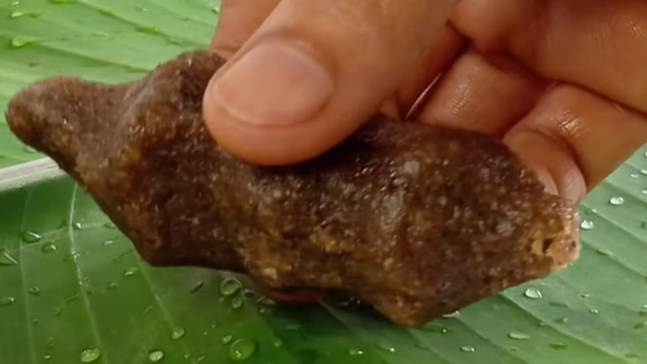 ముందుగా పాన్ తీసుకుని దానిలో ఆయిల్ వేసి వేడి చేయాలి. అర టేబుల్ స్పూన్ ఆవాలు, అర టేబుల్ స్పూన్ జీలకర్ర, అర టేబుల్ స్పూన్ మినప్పప్పు, సెనగపప్పును బాగా వేయించాలి. 