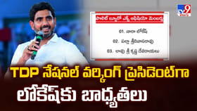 TDP నేషనల్ వర్కింగ్ ప్రెసిడెంట్ గా లోకేష్ కు బాధ్యతలు