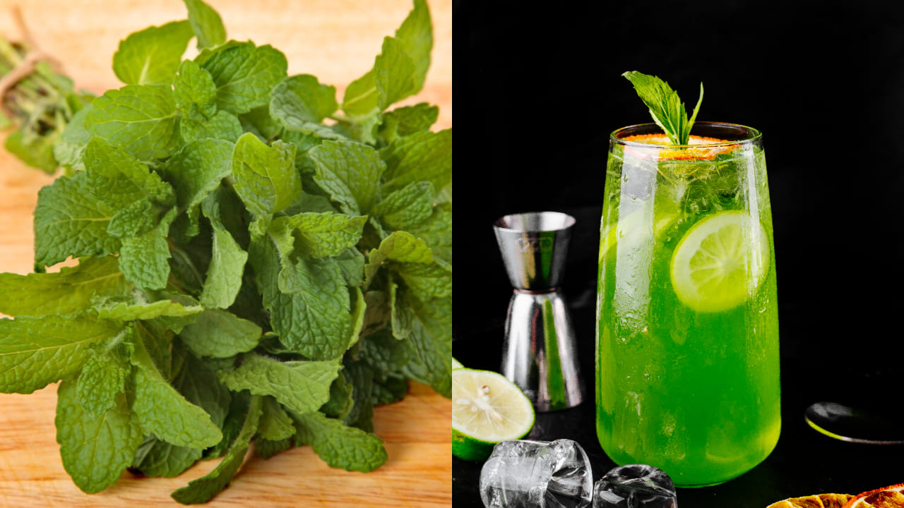 వేసవిలో అధిక ఉష్ణోగ్రతల నుండి మన శరీరాన్ని రక్షించుకోవడానికి, ఆరోగ్యాన్ని కాపాడుకోవడానికి పుదీనా (Mint Leaves) అద్భుతంగా పనిచేస్తుంది. ఈ కాలంలో ఏది పడితే అది తినడం ఆరోగ్యానికి హానికరం కావచ్చు. అందుకే పుదీనాతో చేసే వంటకాలు, ముఖ్యంగా పుదీనా చట్నీని తీసుకోవడం వల్ల ఆరోగ్యం, చల్లదనం లభిస్తాయని ఆరోగ్య నిపుణులు సూచిస్తున్నారు. అలాగే పుదీనా పానీయాలు వేసవిలో మన శరీరానికి ఉపశమనం కలిగిస్తాయి.