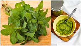 వేసవిలో పుదీనా చట్నీతో హెల్త్ మ్యాజిక్.. ఎన్నో ఆరోగ్య ప్రయోజనాలు