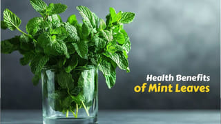 Alzheimer’s in Women: మహిళలనే టార్గెట్ చేస్తున్న మతిమరుపు.. అల్జీమర్స్ ముప్పు ఆడవారికే ఎందుకు ఎక్కువ?