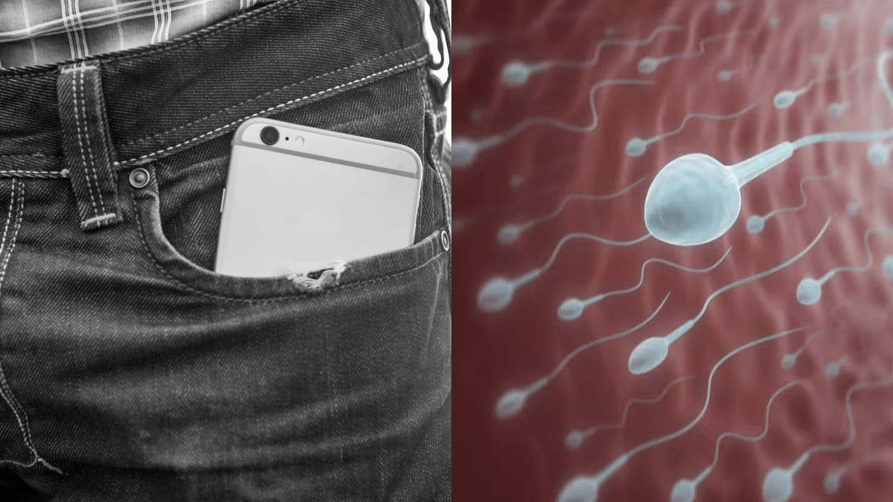 మగమహారాజులకు అలర్ట్.. ఫోన్ అక్కడ పెడితే ఆ సమస్యలు తప్పవంట.. పరిశోధనలో విస్తుపోయే విషయాలు..