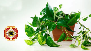 జేబులో బోలెడంత డబ్బు.. ఈ మూడు రాశుల వారి ఇంట ధన వర్షమే!