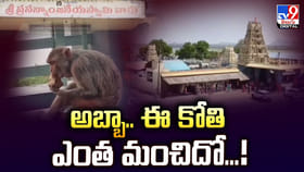 అబ్బా.. ఈ కోతి ఎంత మంచిదో.. సంస్కారానికి ఫిదా అవుతున్న నెటిజన్లు