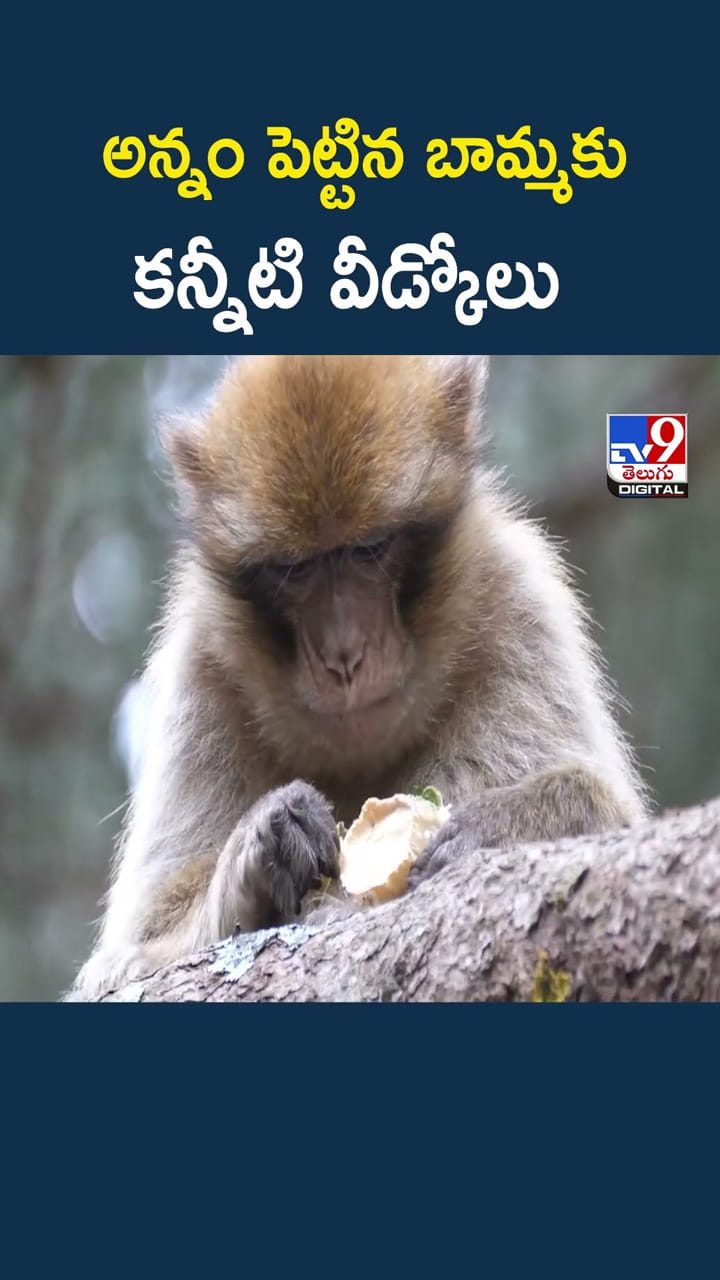 అన్నం పెట్టిన బామ్మకు కన్నీటి వీడ్కోలు