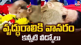 వృద్ధురాలికి వానరం.. కన్నీటి వీడ్కోలు