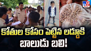Watch: సమ్మర్‌లో పశువులు సరిగ్గా పాలు ఇవ్వట్లేదా.. టెన్షనొద్దు ఈ చిట్కాలు పాటిస్తే చాలు