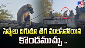 సెల్ఫీలు దిగుతూ తెగ మురిసిపోయిన కొండముచ్చు..