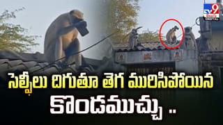 బిర్యానీలో లెగ్ పీస్‌లు లేవని.. పెళ్లి పందిట్లో విరిగిన కుర్చీలు