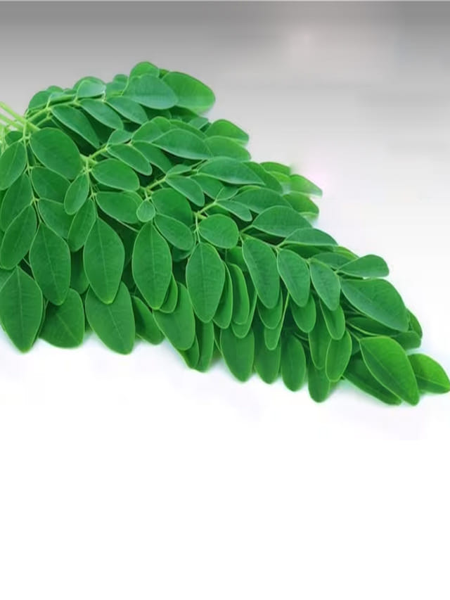 ఈ ఆకులు మీ ఇంటి వైద్యుడు.. నిర్లక్ష్యం వద్దండోయ్‌