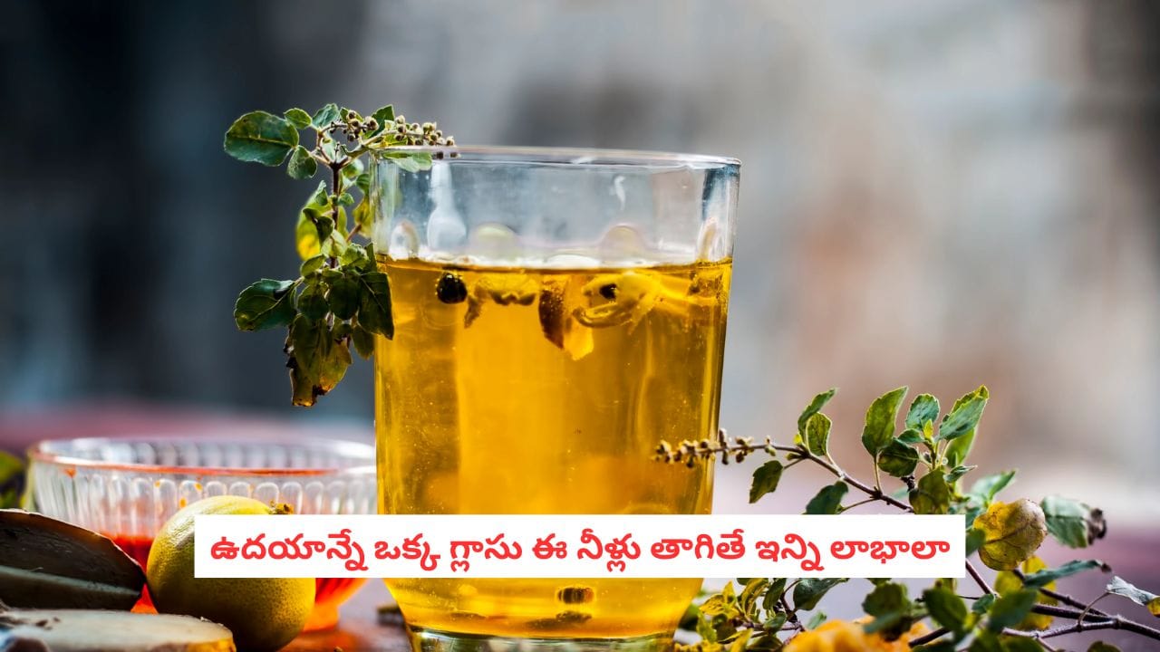 Morning Detox Drink: పరగడుపున తులసి, తేనె కలిపిన నీటిని తాగితే.. ఈ 5 లాభాలు మీ సొంతం