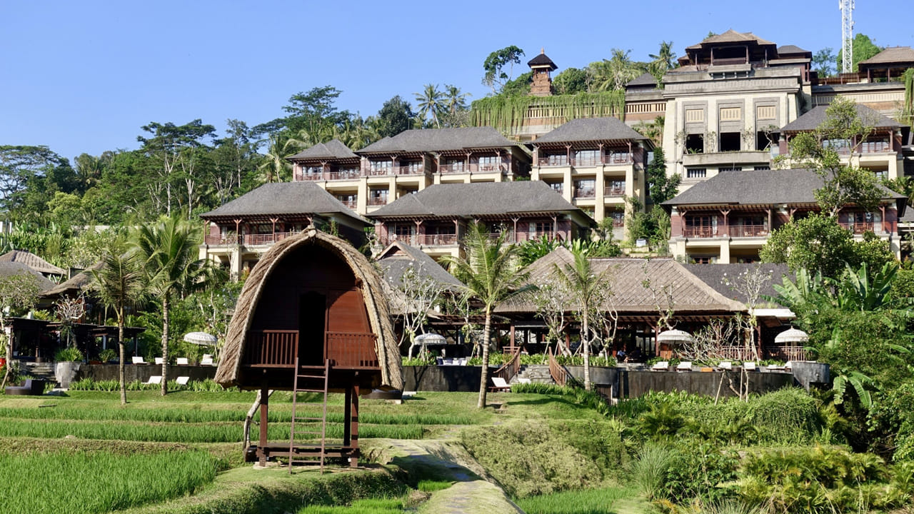 అడవి మధ్యలో అద్భుతం.. ప్రపంచంలోనే బాగా ఖరీదైన హోటల్.. ఒక్క రోజుకు ఎంతో తెలిస్తే అవాక్కే..