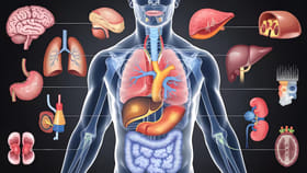 మానవ శరీరంలో అత్యంత ఖరీదైన భాగం ఏది? కోట్ల రూపాయల ధర పలికే ఆ