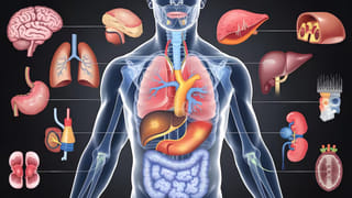 చదువుకోమంటావా? అయితే స్కూల్ కూల్చేస్తా! – టీచర్‌కే స్వీట్ వార్నింగ్ ఇచ్చిన బుజ్జిగాడు.. వైరల్ అవుతున్న వీడియో!