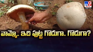 ఆరేళ్ల బాలుడికి కృష్ణానదిలోకి విసిరేసిన తండ్రి.. కారణం తెలిస్తే షాకవుతారు