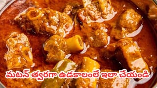 అదిరే సమ్మర్ స్నాక్.. దోస ఒరుగులు.. ఇలా చేస్తే ఎంత బాగుంటాయో..