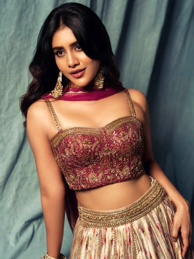 నభా నటేష్ లైనప్.. వరుస సినిమాలతో ఫుల్ బిజీ..