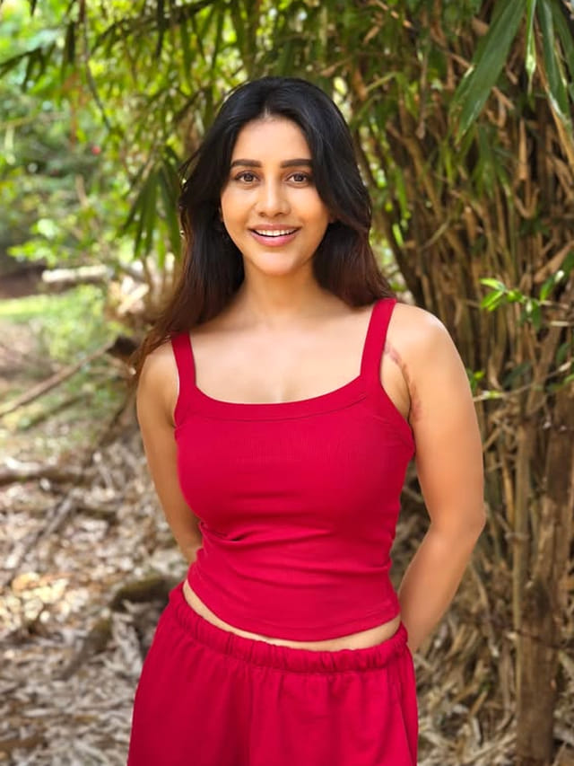 సాలిడ్ హిట్ కోసం నభా నటేష్ ఎదురుచూపులు..