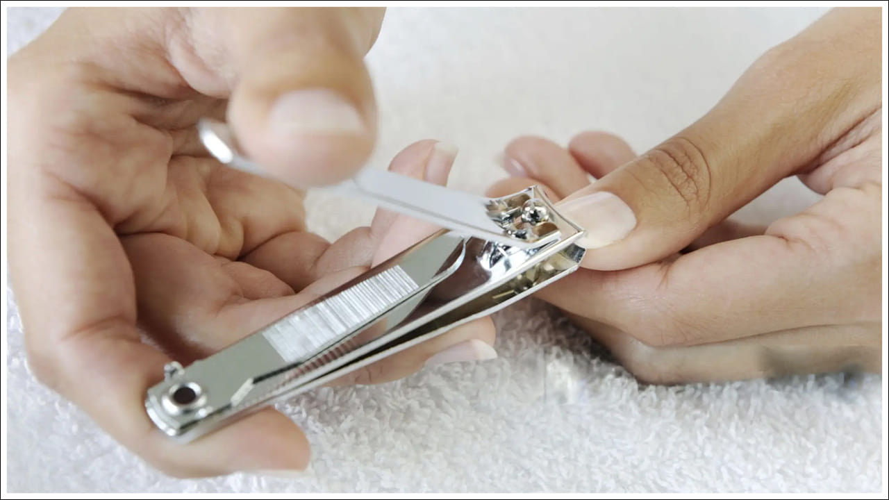 Nail Cutter1