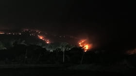 నెలలో మూడోసారి నల్లమల అడవిలో కార్చిచ్చు..