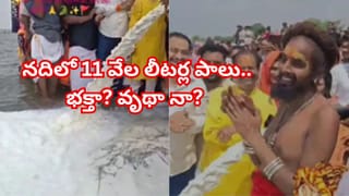 Optical Illusion: దమ్ముంటే కాస్కో.. ఈ మొక్కల మధ్యనున్న జింకను కనిపెడితే మిమ్మల్ని మించిన తోపులు లేరు!