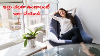 ఏసీ కూలింగ్ సరిగ్గా రావడం లేదని టెక్నిషియన్‌ను పిలిపించారు.. ఓపెన్ చేసి చూడగా..