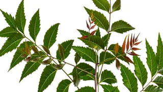 అతిగా ఆలోచిస్తున్నారా..? బీకేర్‌ఫుల్.. ఈ వ్యాధులు వద్దన్నా వస్తాయంట..