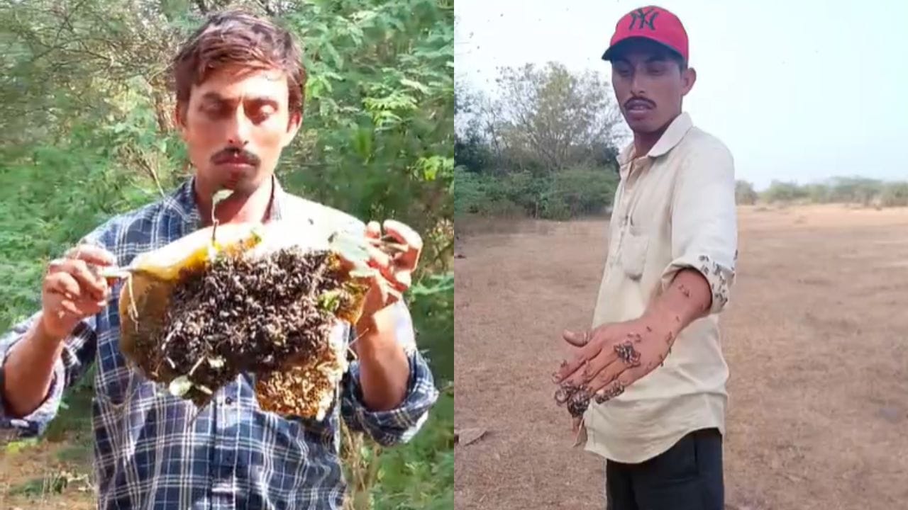 Andhra News: సూపర్ మ్యాన్, ఐరెన్ మ్యాన్ కాదు.. హనీమ్యాన్ ఎప్పుడైనా చూశారా? ఇదిగో వీడియో