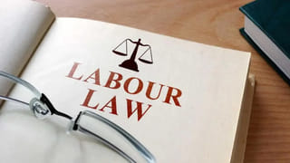 రూ.50 స్టాక్‌.. ఏకంగా 470 శాతం రాబడి! పెట్టుబడిదారులకు మతిపోయే ఆదాయం