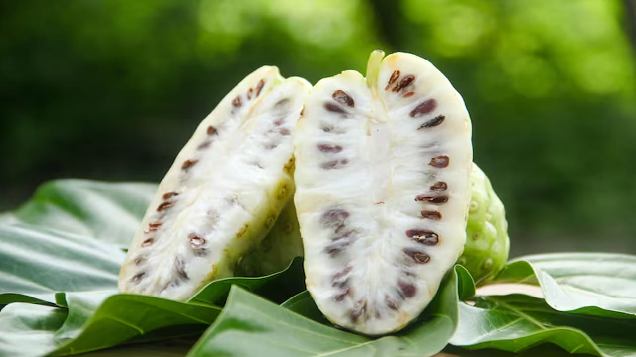Noni Fruits