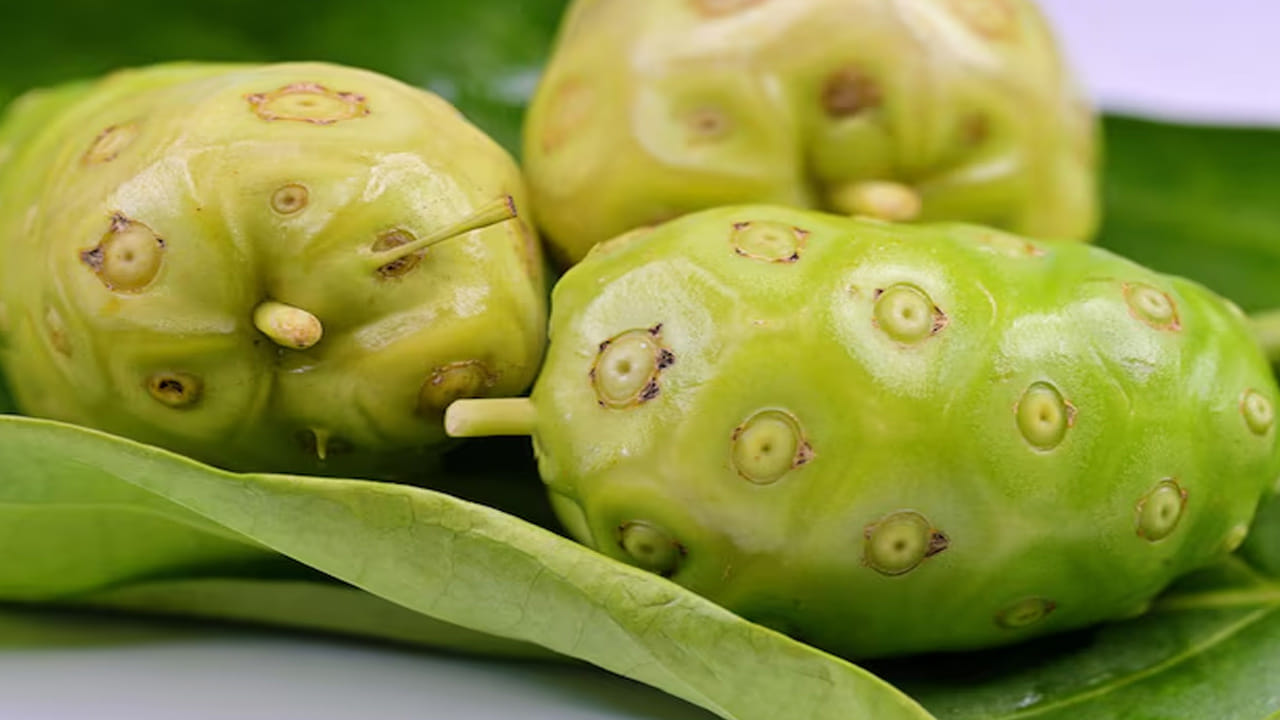  చర్మ సౌందర్యం: ఇందులోని యాంటీ ఆక్సిడెంట్లు చర్మంపై ముడతలు పడకుండా చేస్తాయి. మొటిమలు, మచ్చలు తగ్గించి చర్మాన్ని కాంతివంతంగా మార్చడంలో నోని రసం ఎంతగానో ఉపయోగపడుతుంది.
నోని పండు లేదా రసం మార్కెట్‌లో సులభంగానే దొరుకుతున్నాయి. అయితే, గర్భిణీలు, కిడ్నీ సమస్యలు ఉన్నవారు దీనిని తీసుకునే ముందు తప్పనిసరిగా వైద్యుల సలహా తీసుకోవాలి. సరైన పద్ధతిలో తీసుకుంటే, నోని పండు మీ ఆరోగ్యానికి ఒక సంజీవనిలా మారుతుంది.