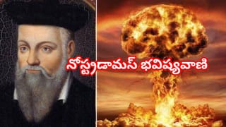 Viral Video: జంగిల్‌ జామైంది.. ట్రాఫిక్ జామ్‌లో చిక్కుకున్న పులి..! ఏం చేసిందంటే..