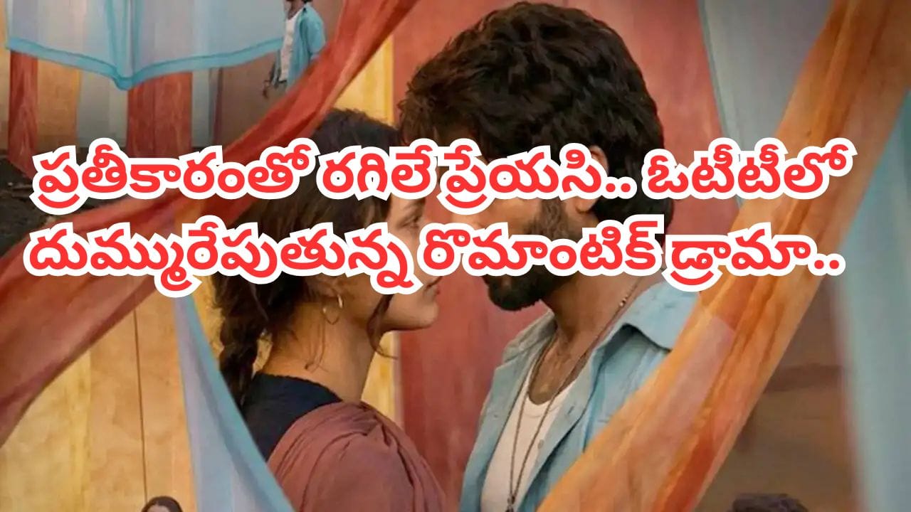 Cinema : ప్రతీకారంతో రగిలే ప్రేయసి కథ.. ఓటీటీలోకి వచ్చేసిన రొమాంటిక్ యాక్షన్ థ్రిల్లర్.. ఏకంగా 240 దేశాల్లో స్ట్రీమింగ్..