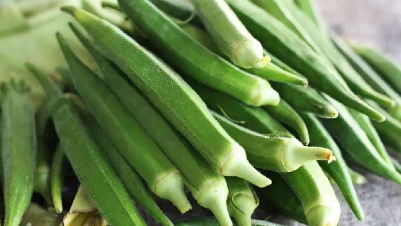 బెండకాయ నీళ్లు తాగడం వల్ల రక్తంలో చక్కెర స్థాయిలు సమతుల్యంగా ఉంటాయి. బెండకాయలో అధిక మొత్తంలో ఫైబర్ ఉంటుంది. ఇది గ్యాస్, మలబద్ధకం సమస్యల నుంచి ఉపశమనం కలిగించడంలో సహాయపడుతుంది. 