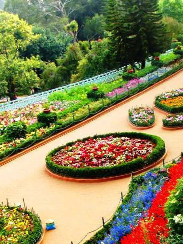 ఒక్కరోజులో ఊటీ టూర్.. ఖర్చు కేవలం రూ.1000