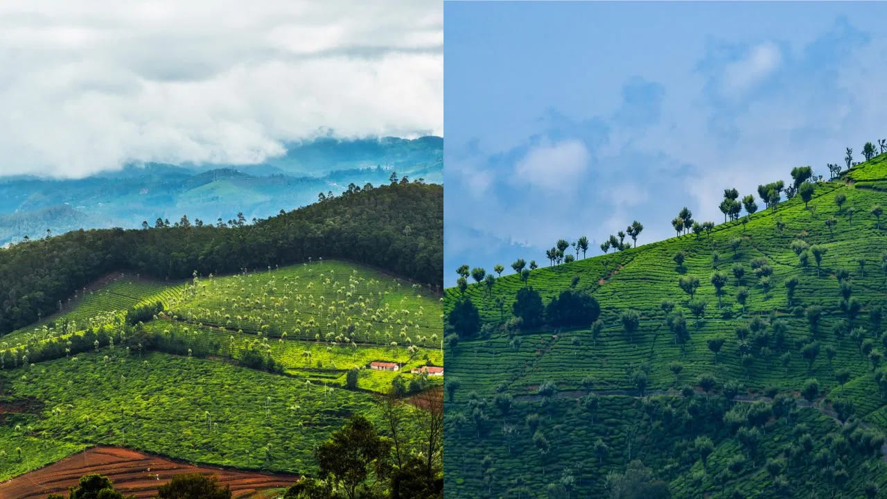 ఊటీ ట్రిప్ ప్లాన్ చేస్తున్నారా? ఈ గైడ్ లేకుండా వెళ్లితే చాలా మిస్ అవుతారు!