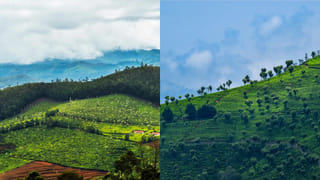 వారి దేవుడా? అనుష్క శర్మ ధరించిన సింపుల్ డ్రెస్ మరీ అంత రేటా