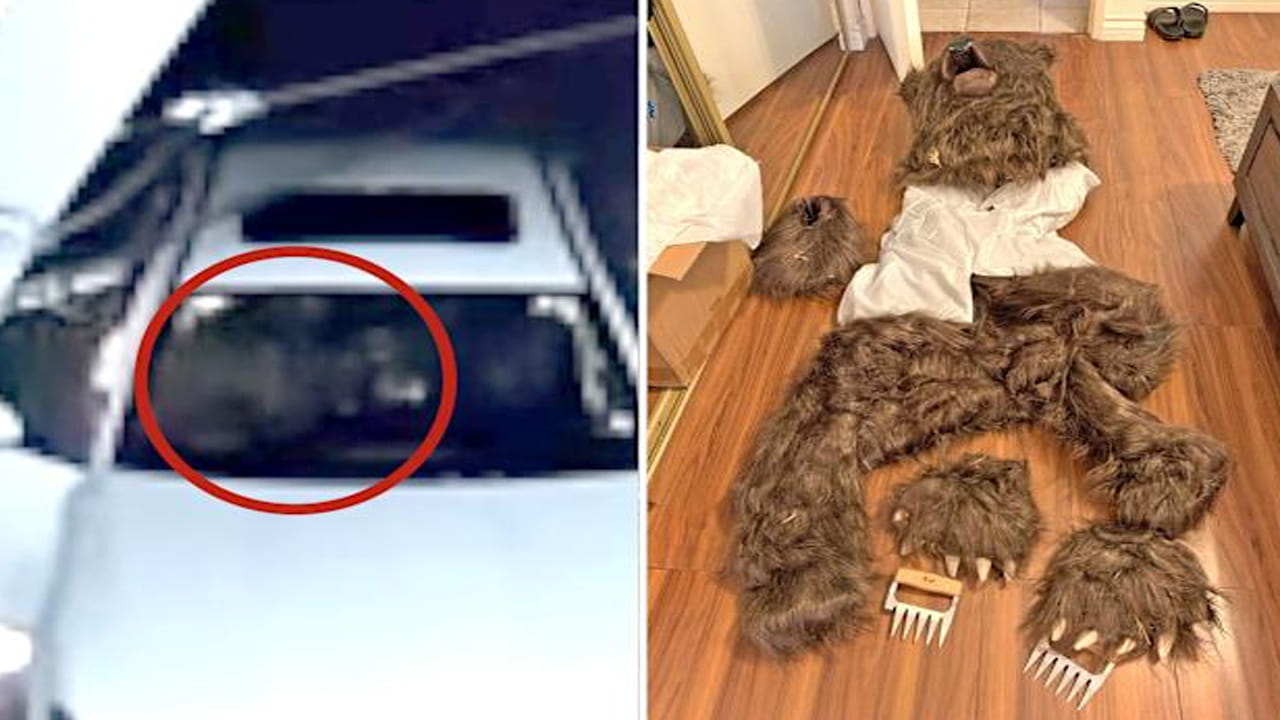 ఎవర్రా మీరంతా.. ఎలుగు బంటి పేరుతో  కోట్లకు స్కెచ్.. కట్ చేస్తే