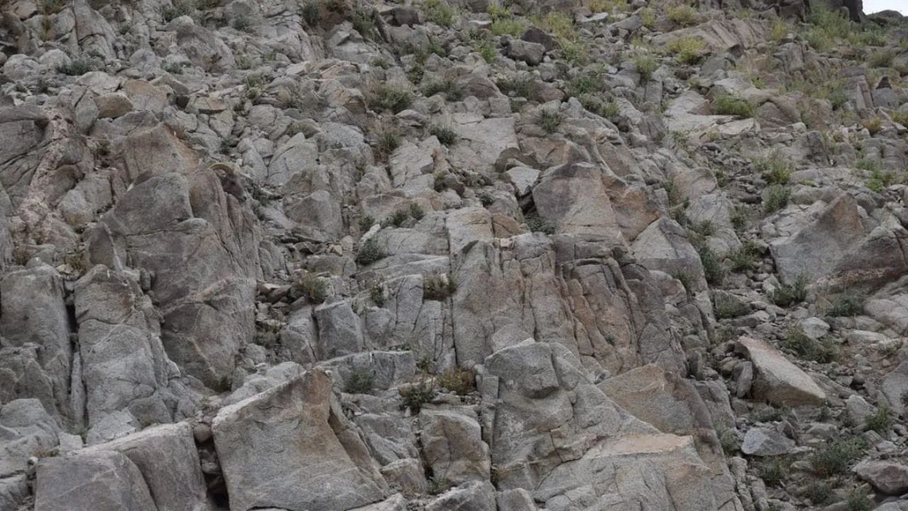 Optical Illusion: దమ్ముంటే కాస్కో.. ఈ కొండపై ఉన్న గొర్రెను 30 సెకన్లలో గుర్తిస్తే నువ్వే తోపు!